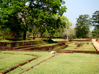 15 - Les jardins de Sigiriya