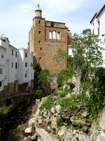 cazorla