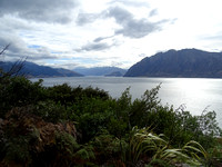 7 - Wanaka - Fox Glacier - Gillespies Beach
