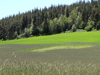 09