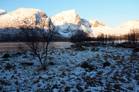 lofoten