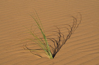 dunes, sable