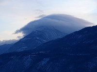 dent du chat
