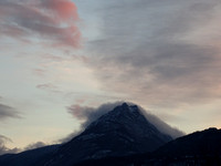 dent du chat