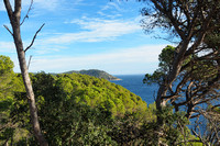 cap roig