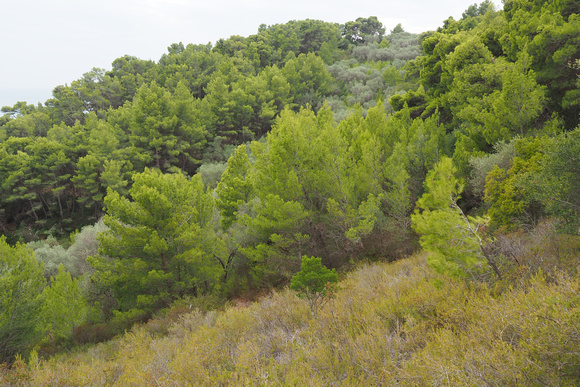 gargano