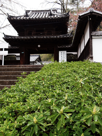 019 - Matsuyama - Hogon-ji