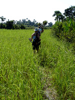 2 - Hariharalaya (Roluos) : Tropeang Phong - Bakong - Preah Ko - Lolei