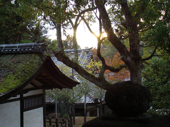 047 - Sanctuaire Kasuga-Taisha