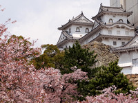 8 - Le château du Héron Blanc à Himeji