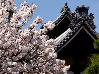 9 - Kyoto et ses jardins