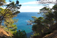 cap roig