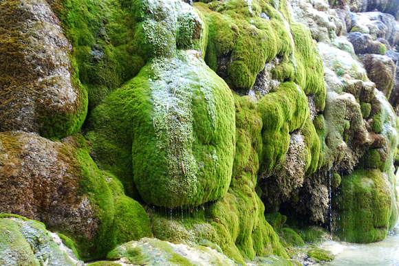 fontaines pétrifiantes, la sône