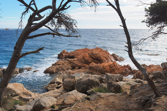 cap roig