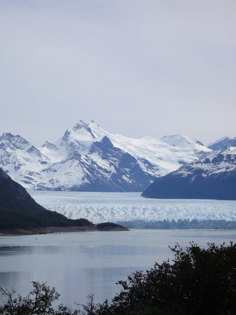 Une véritable mer de glace se jette dans le Lago Argentino