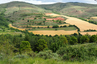 matute, penas tobia