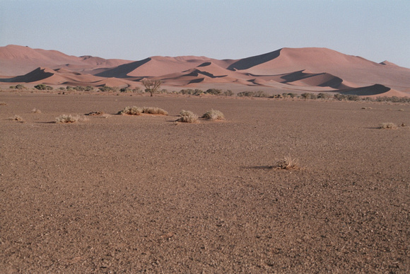 019- Sossusvlei