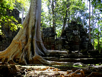 12 - Ta Nei - Preah Khan - Neak Pean