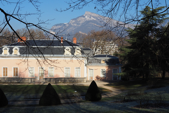 buisson rond