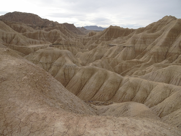 bardenas reales