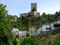 cazorla