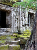 1 - Ta Prohm : Première vision des sourires de pierre