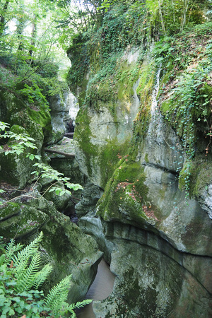 gorges, fier