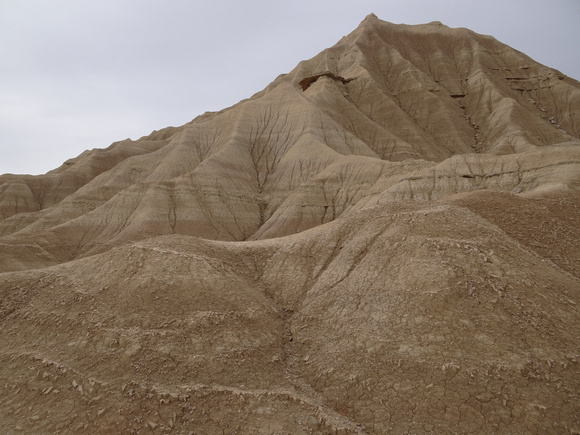 bardenas reales