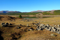 mongolie, naiman nuur, lac nombril