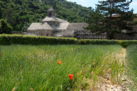 senanque