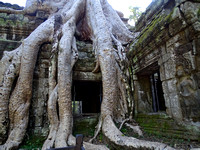 11 - Ta Prohm